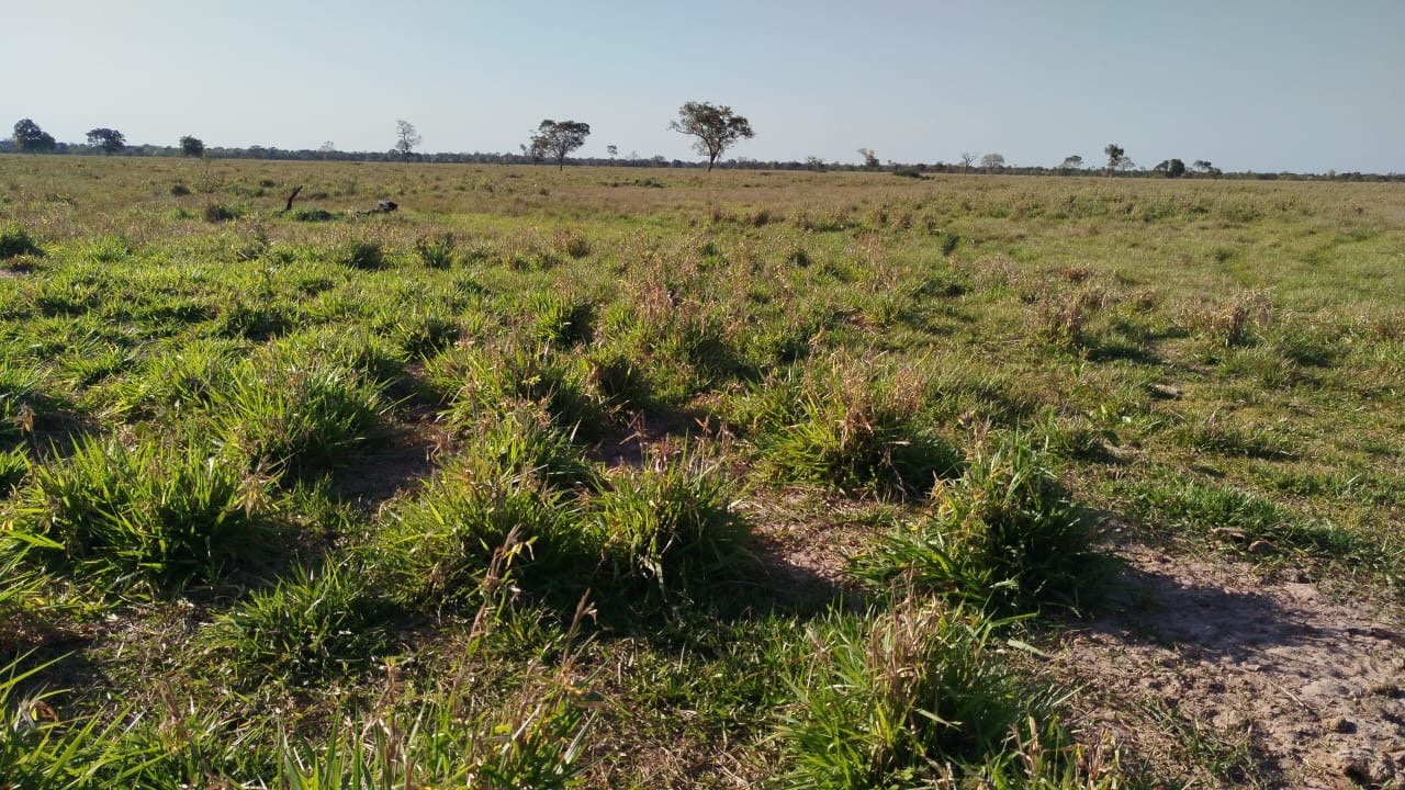 Imagem de destaque do imóvel