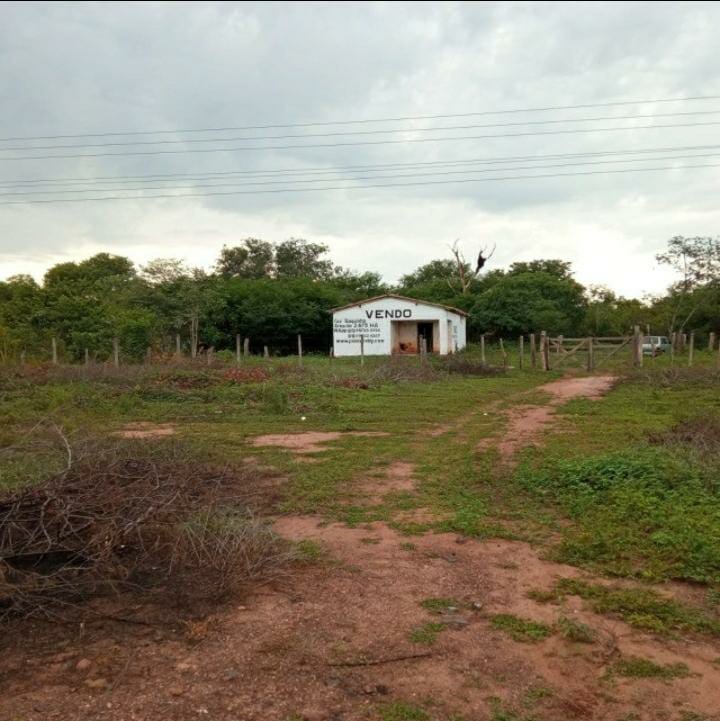 MT