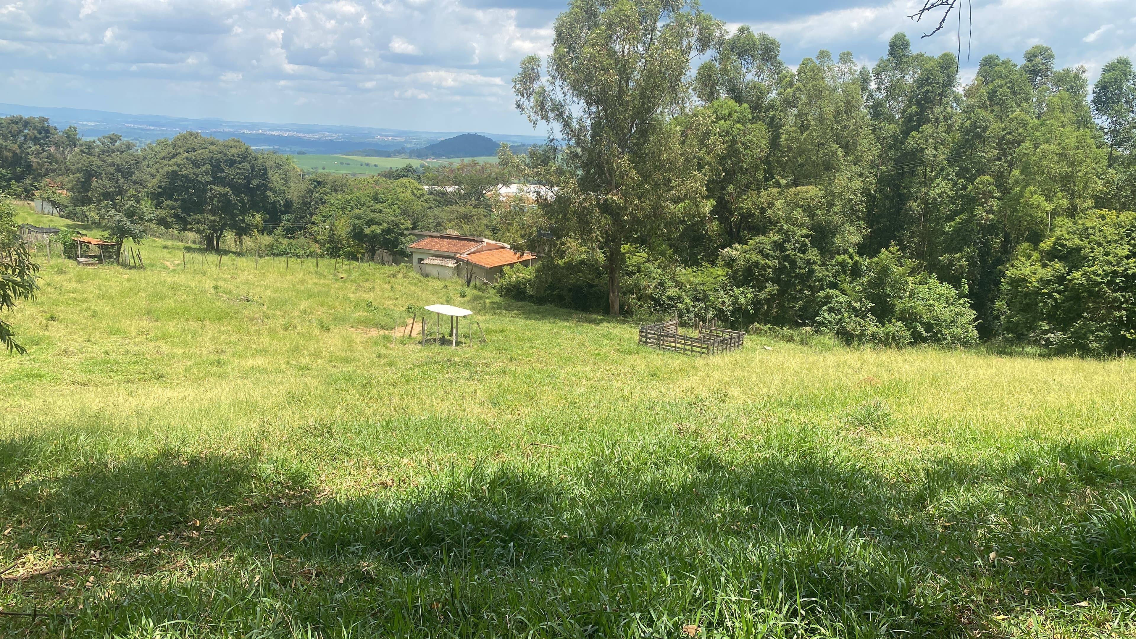 MT