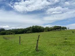 Fazenda
