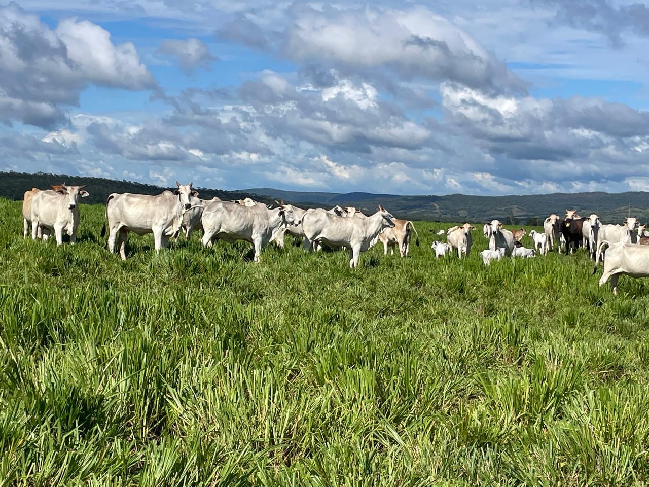 Imagem de destaque do imóvel