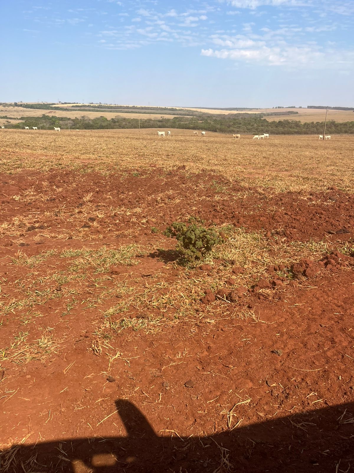 Imagem de destaque do imóvel