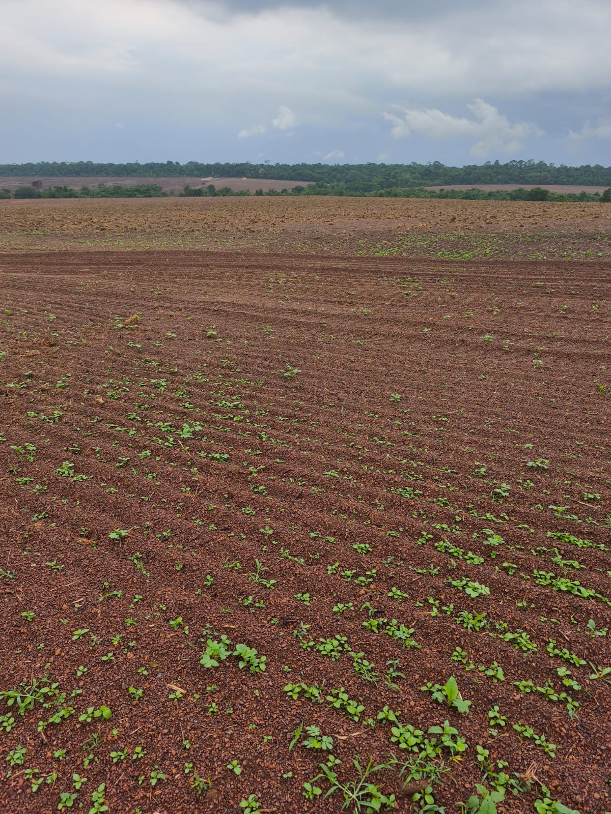 Imagem de destaque do imóvel