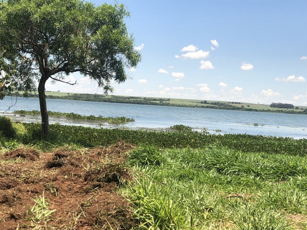 Imagem de destaque do imóvel