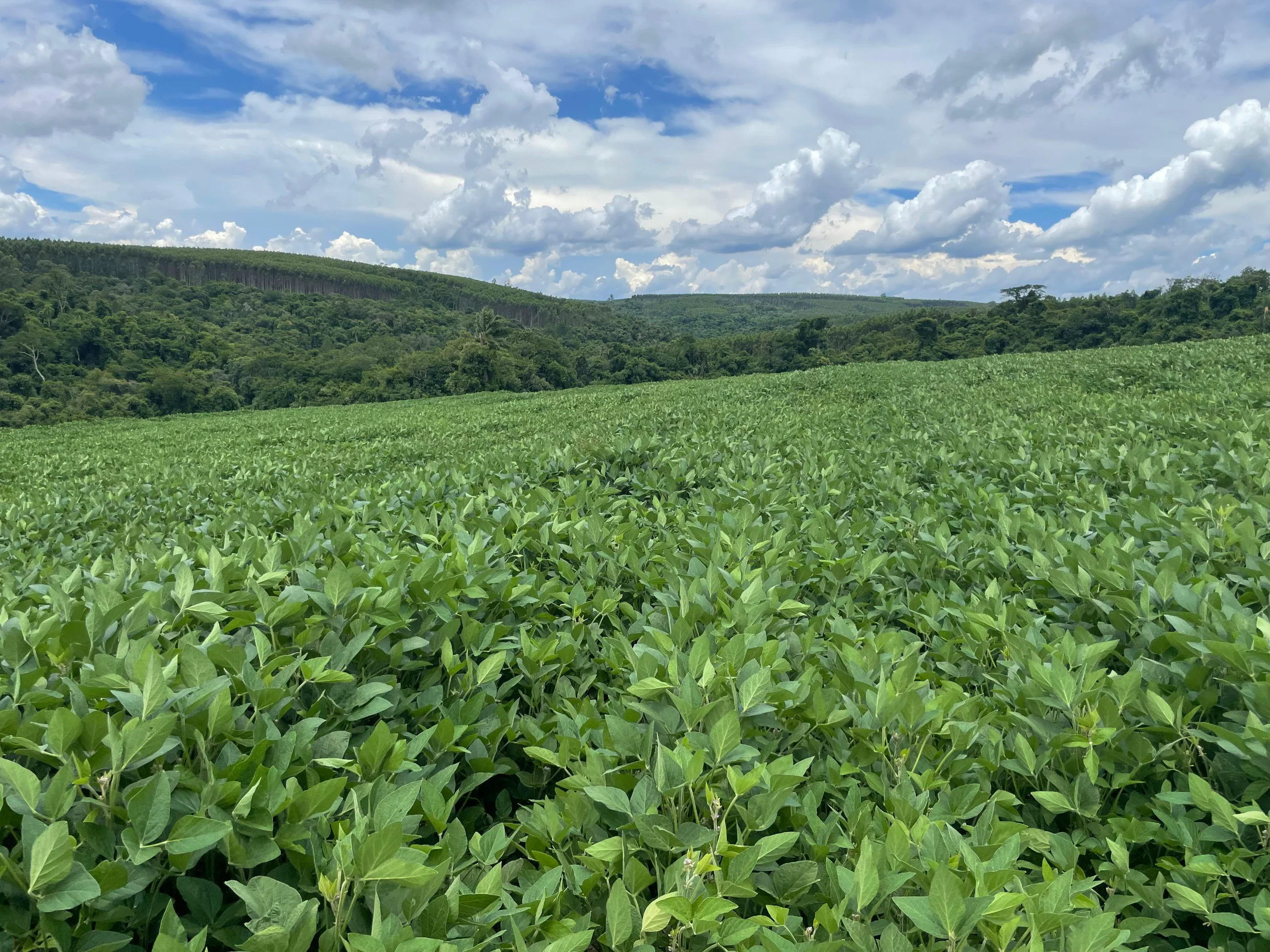 Imagem de destaque do imóvel