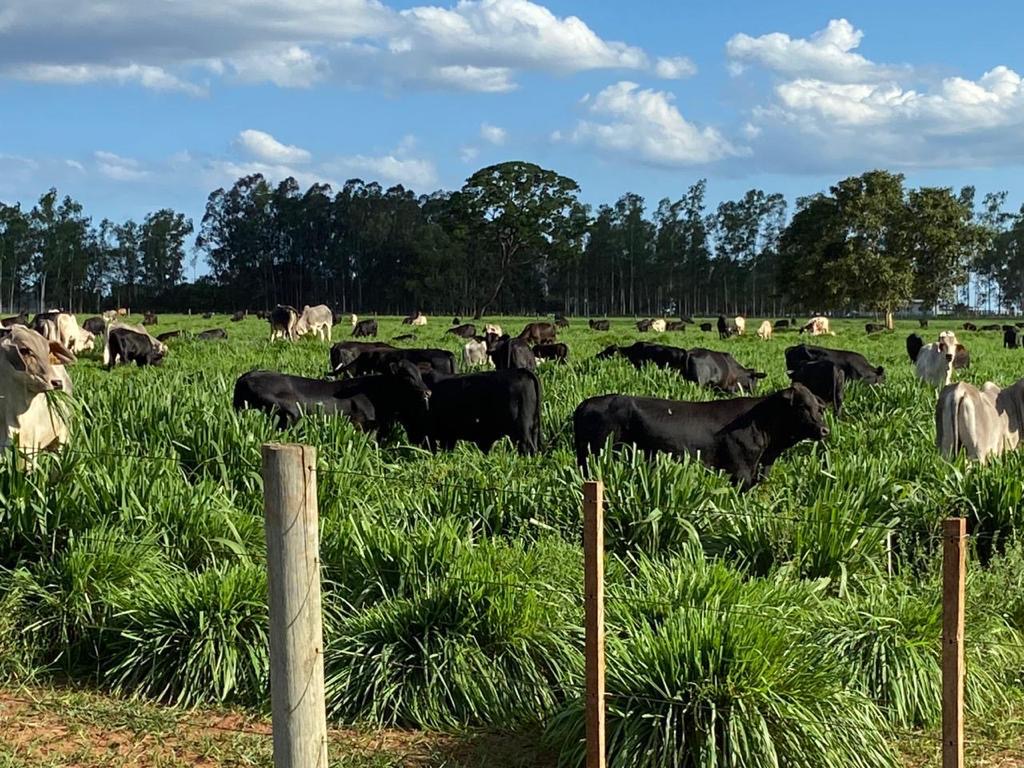 Imagem de destaque do imóvel