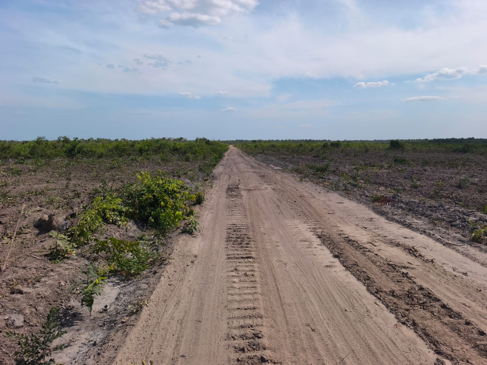 Imagem de destaque do imóvel