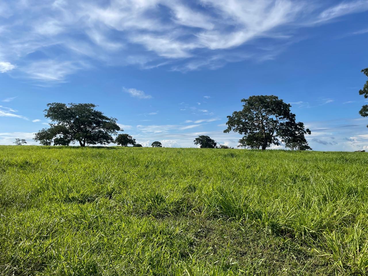 Imagem de destaque do imóvel