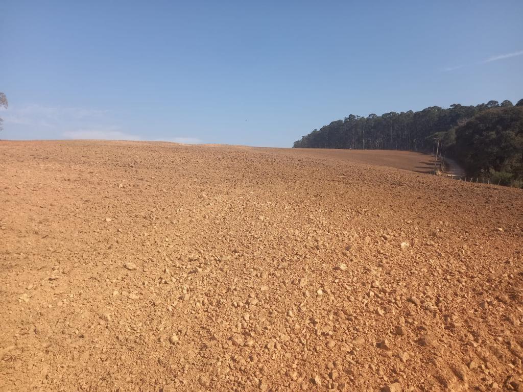 Imagem padrão