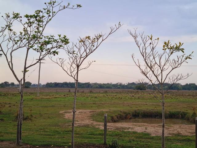 Imagem padrão