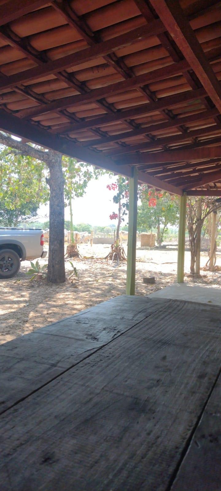 Imagem padrão