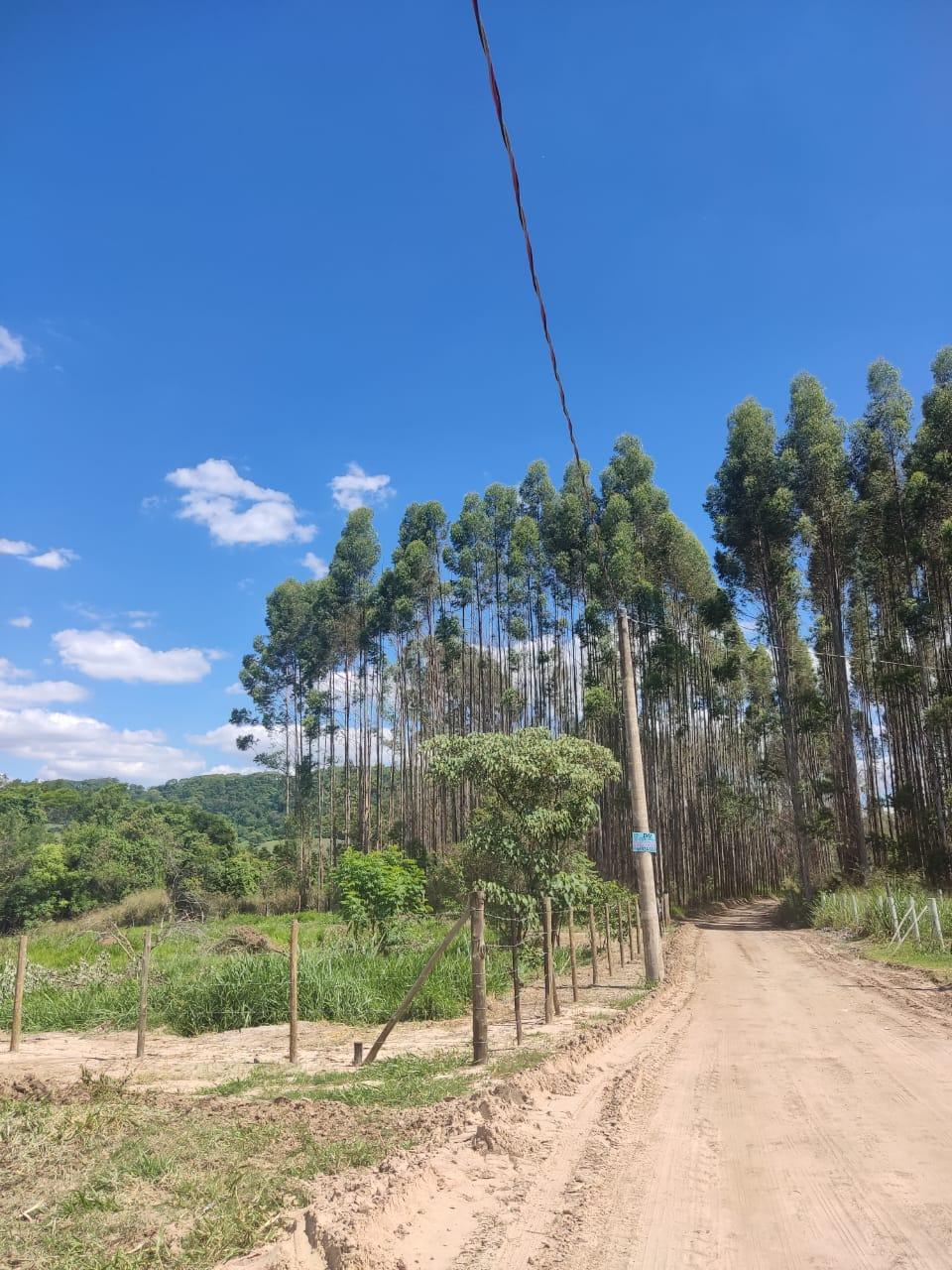 Imagem padrão