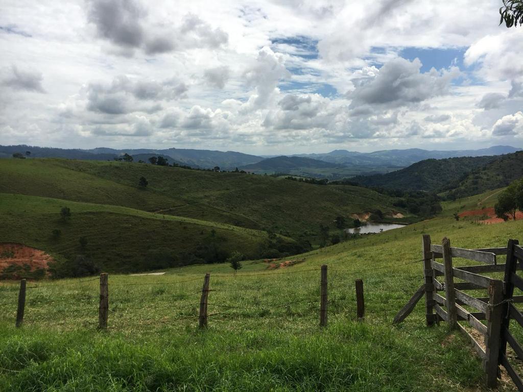 Imagem padrão