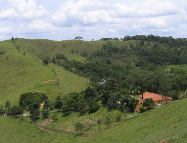 Imagem padrão