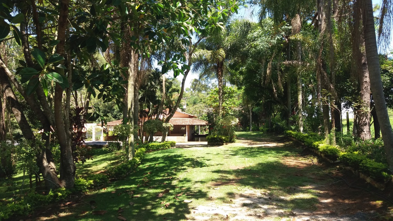 Imagem padrão