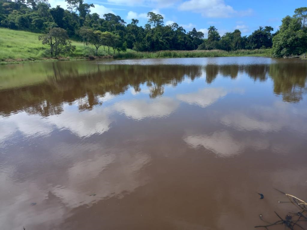 Imagem padrão