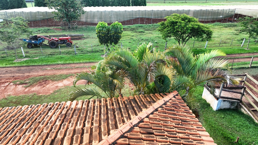 Imagem padrão