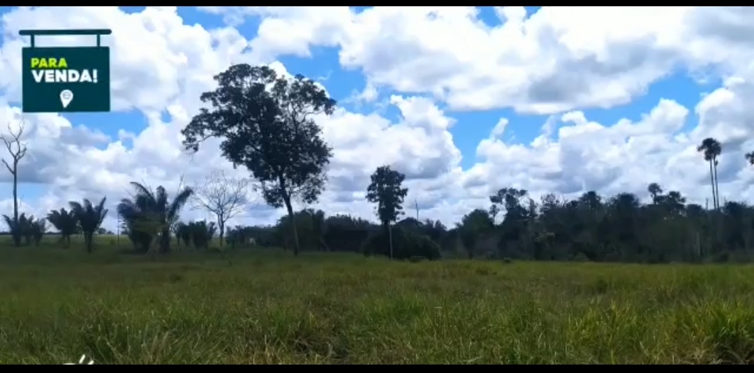 Imagem padrão