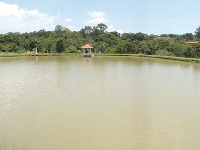 Imagem padrão