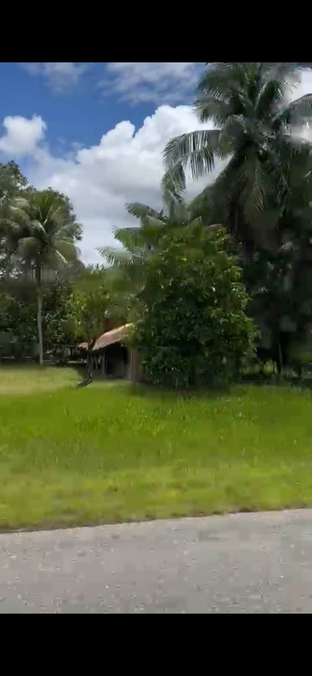 Imagem padrão
