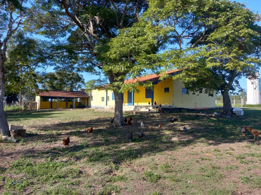 Imagem padrão