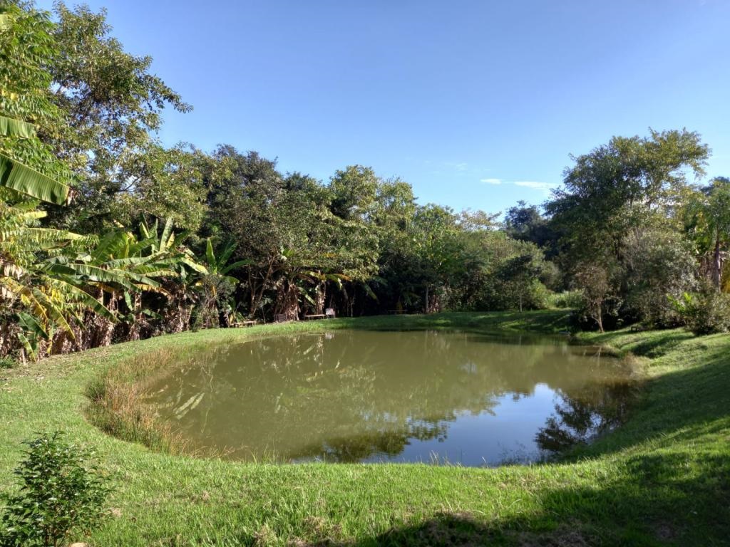 Imagem padrão