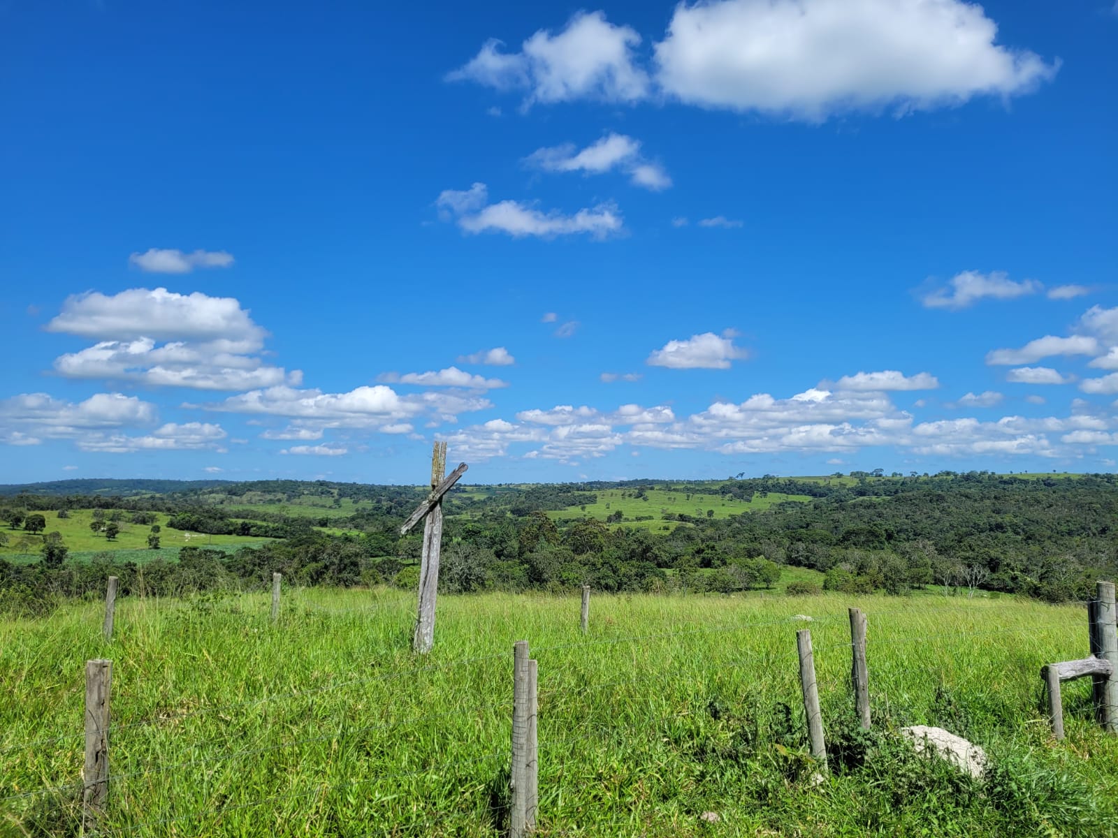 Imagem padrão