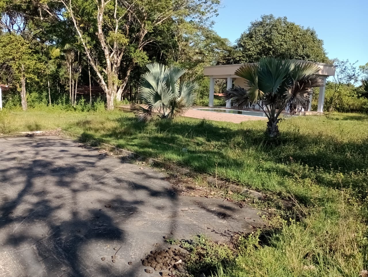 Imagem padrão