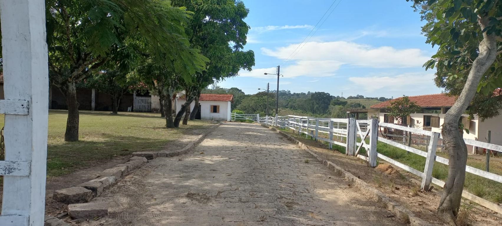 Imagem padrão