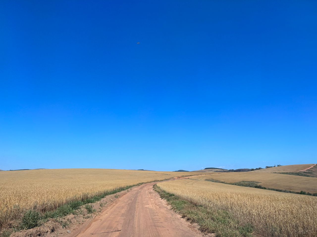 Imagem padrão