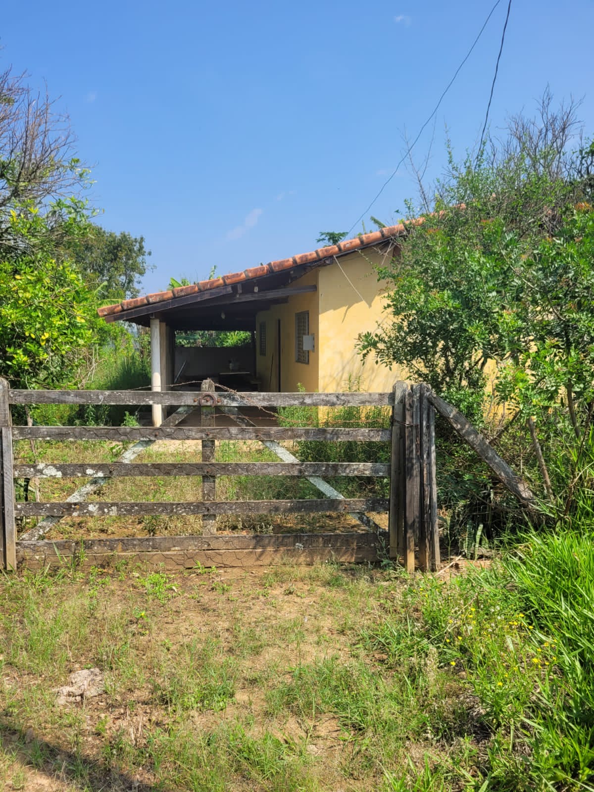 Imagem padrão