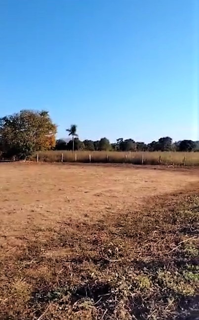 Imagem padrão