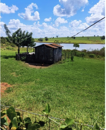 Imagem padrão